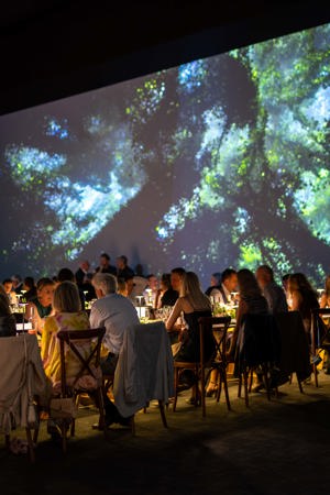 Np Partners Govett Brewster Annual Gala 39