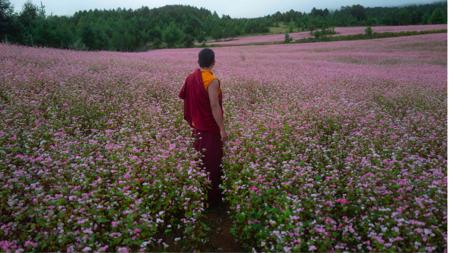 The Monk And The Gun (1)