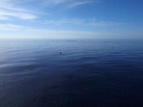 732F9feaaa18a708fc4fd329f9998ae0