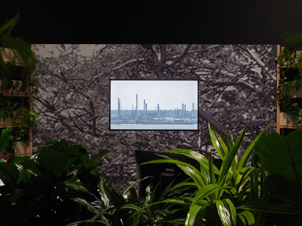 Dsf1849web