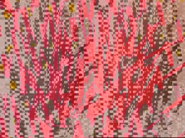 Dfeed0e64d29f4f0690b71fbced1bc55