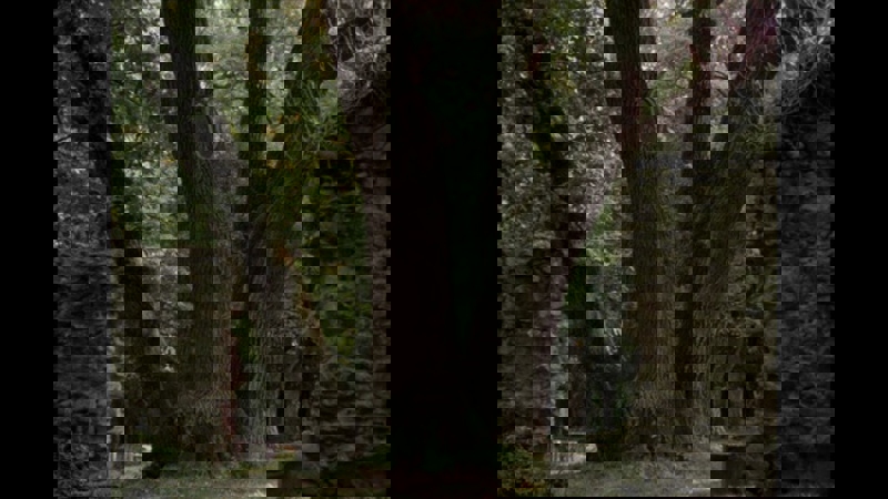 Deeb39e2ae2ff688398d51b958c51b22