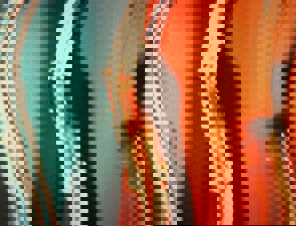B2050152648095928f6a8190ed346e3d