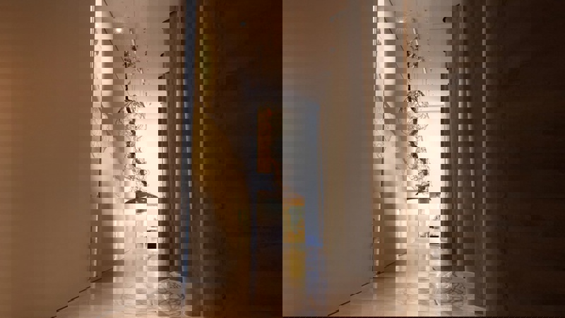 4B400b0ee5bf4067998acf850b6b8dc6