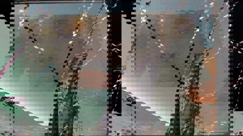 8Ebb8c3ab56b166a9abac95239d79038