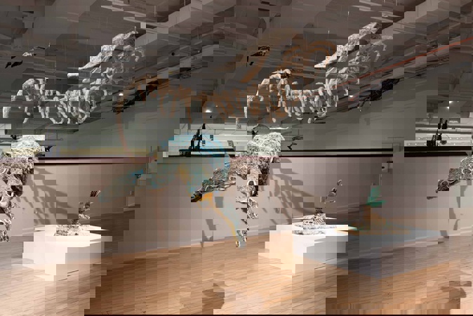 C9171aabdbe7ecb5f19f714c150b503f