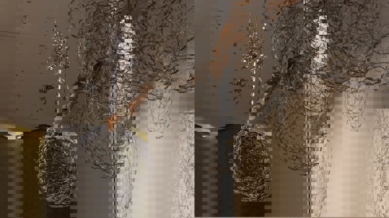 B446f7d559dff385dda6d6e400feba00