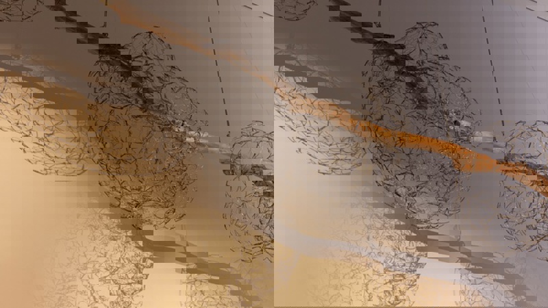 D584aea74872f0cdf1a88ff2a36abe64