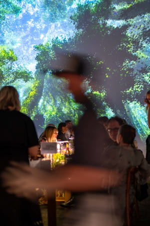 Np Partners Govett Brewster Annual Gala 41