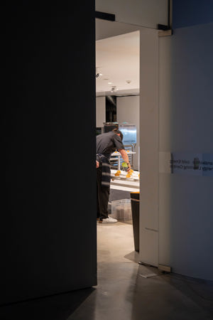 Np Partners Govett Brewster Annual Gala 35