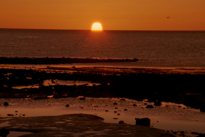 3Ff263c17a6655d2dcdd94b045dd3a5c