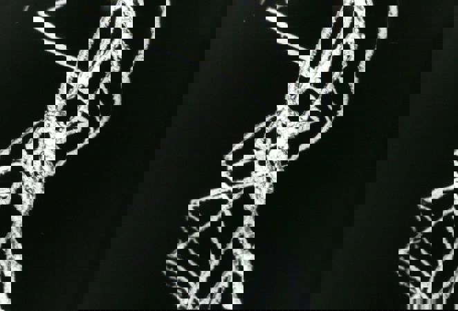 94B6fd84b99d055b0f8bf510124e1435
