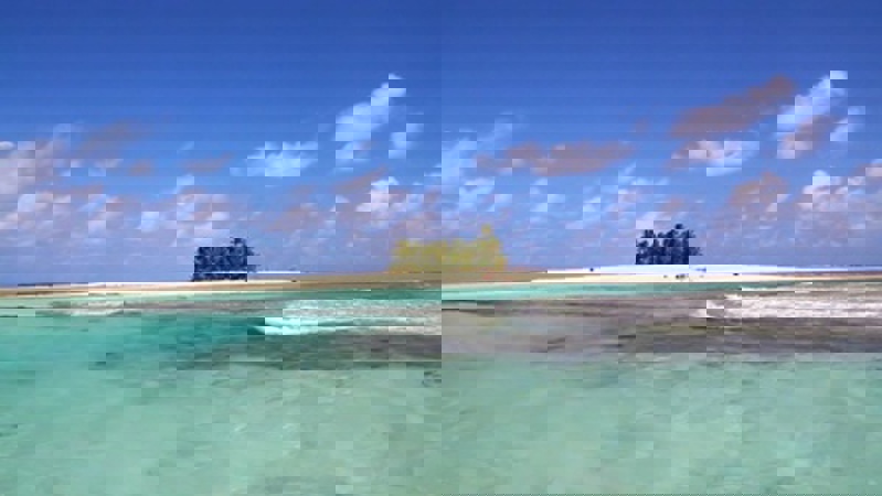 Be0d420421f8ee226129b774534c2359