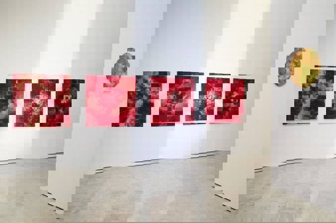 27D90191d56757098183a5e796f911fe