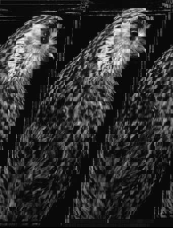 9B4df73c23d162f5eff86328c88623b9