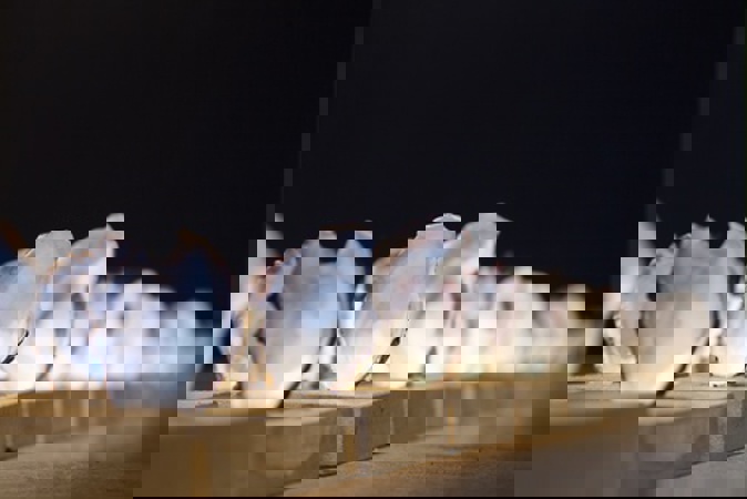 161Ebb5f5ece85321a6789fb0133a232