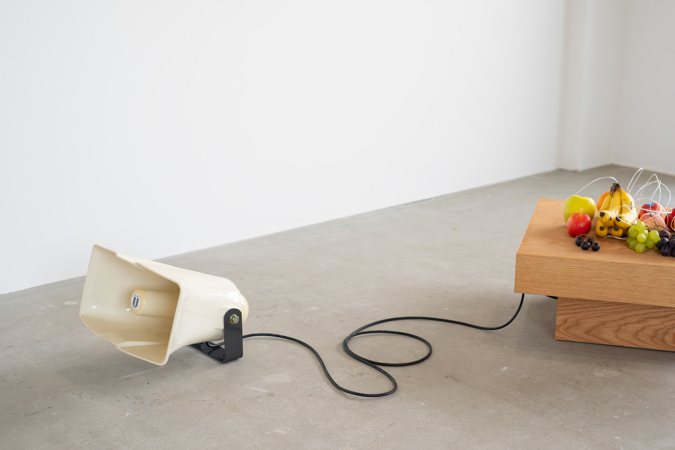 Yuko Mohri Install View Art And New Ecology